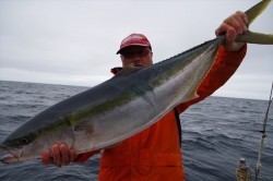 ハピネスⅡ 釣果