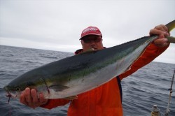 ハピネスⅡ 釣果