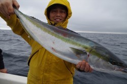 ハピネスⅡ 釣果