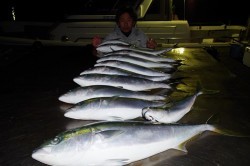 ハピネスⅡ 釣果