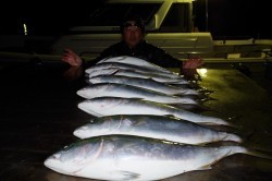 ハピネスⅡ 釣果