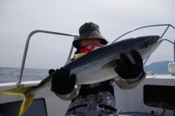 ハピネスⅡ 釣果