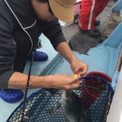 Blue.win 海人丸 釣果