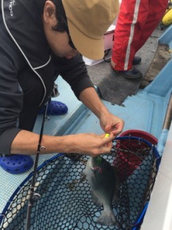 Blue.win 海人丸 釣果