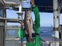 第二隆星丸 釣果