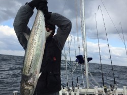 オーシャンキッズ 釣果