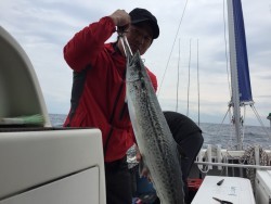 オーシャンキッズ 釣果