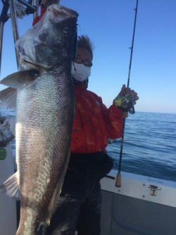 オーシャンキッズ 釣果