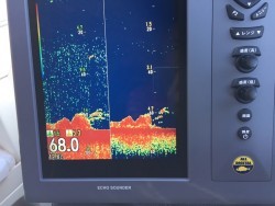 オーシャンキッズ 釣果