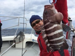 オーシャンキッズ 釣果