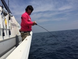 オーシャンキッズ 釣果