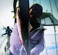 Aquanaut（アクアノート） 釣果