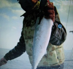 Aquanaut（アクアノート） 釣果