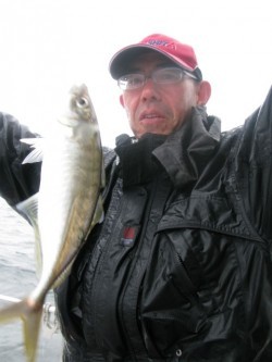 Aquanaut（アクアノート） 釣果