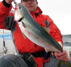 Aquanaut（アクアノート） 釣果