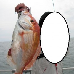 Aquanaut（アクアノート） 釣果