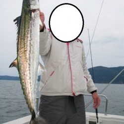 Aquanaut（アクアノート） 釣果