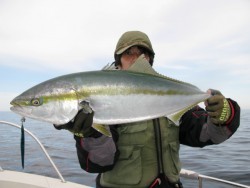 Aquanaut（アクアノート） 釣果