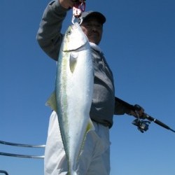 Aquanaut（アクアノート） 釣果