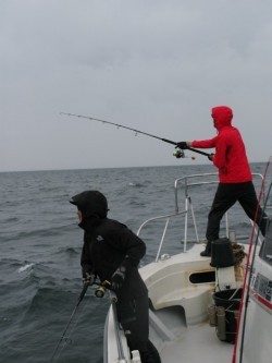 Aquanaut（アクアノート） 釣果