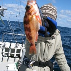 Aquanaut（アクアノート） 釣果