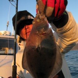 Aquanaut（アクアノート） 釣果