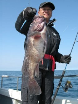 Aquanaut（アクアノート） 釣果