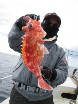 Aquanaut（アクアノート） 釣果