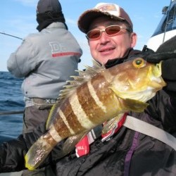 Aquanaut（アクアノート） 釣果