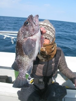 Aquanaut（アクアノート） 釣果