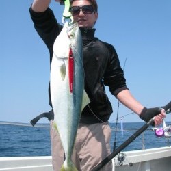 Aquanaut(アクアノート) 釣果