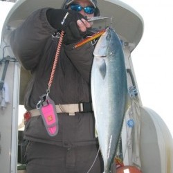 Aquanaut(アクアノート) 釣果