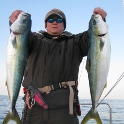 Aquanaut(アクアノート) 釣果