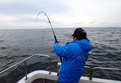 IZANAGI　イザナギ 釣果