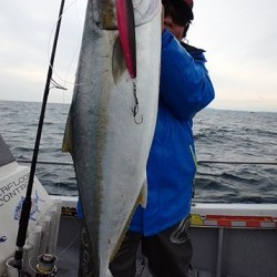 IZANAGI　イザナギ 釣果