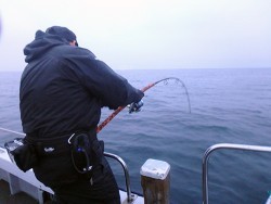 IZANAGI　イザナギ 釣果