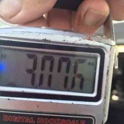 IZANAGI イザナギ 釣果