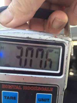 IZANAGI イザナギ 釣果