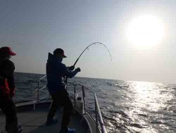 IZANAGI イザナギ 釣果