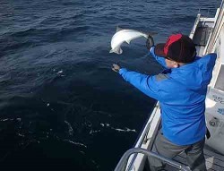 IZANAGI イザナギ 釣果