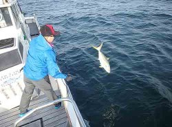 IZANAGI イザナギ 釣果