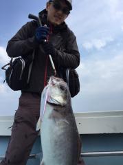 かいもん丸 釣果