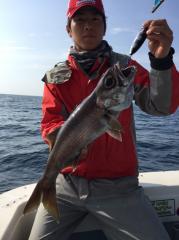 かいもん丸 釣果