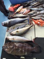 かいもん丸 釣果