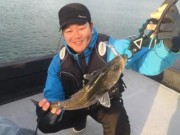 シーマジカル 釣果