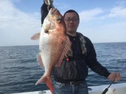 シーマジカル 釣果