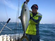 シーマジカル 釣果