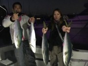 シーマジカル 釣果