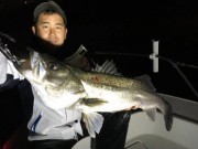 シーマジカル 釣果