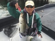 シーマジカル 釣果